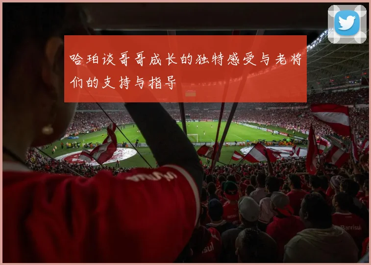 哈珀谈哥哥成长的独特感受与老将们的支持与指导