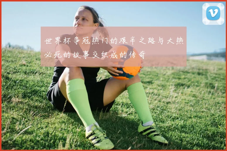 世界杯争冠热门的艰辛之路与大热必死的故事交织成的传奇