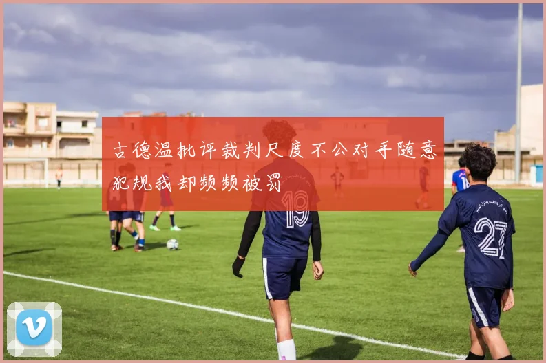 古德温批评裁判尺度不公对手随意犯规我却频频被罚